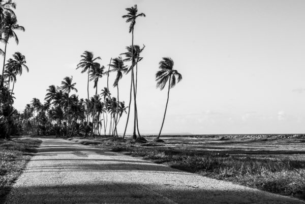 Mayaro Trinidad